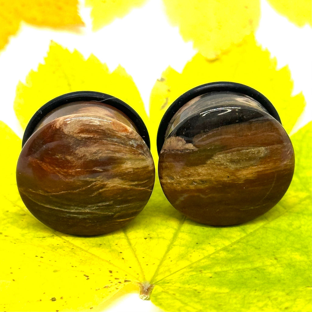 OOAK Petrified Wood Plugs – 3/4" (19mm) Single Flared