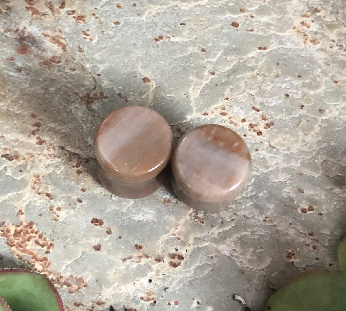 OOAK Petrified Stone Plugs – 00g (10mm)
