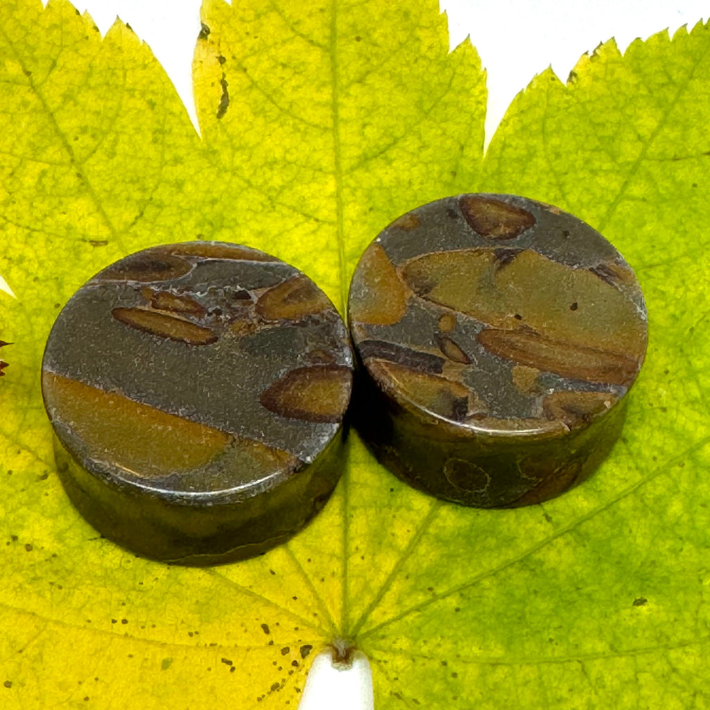 OOAK Bamboo Jasper Plugs – 1" (25mm) Double Flared