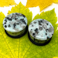 OOAK Dalmatian Jasper Single Flared Stone Plugs – 7/8" (22mm)