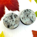 OOAK Dalmatian Jasper Single Flared Stone Plugs – 7/8" (22mm) Single Flared