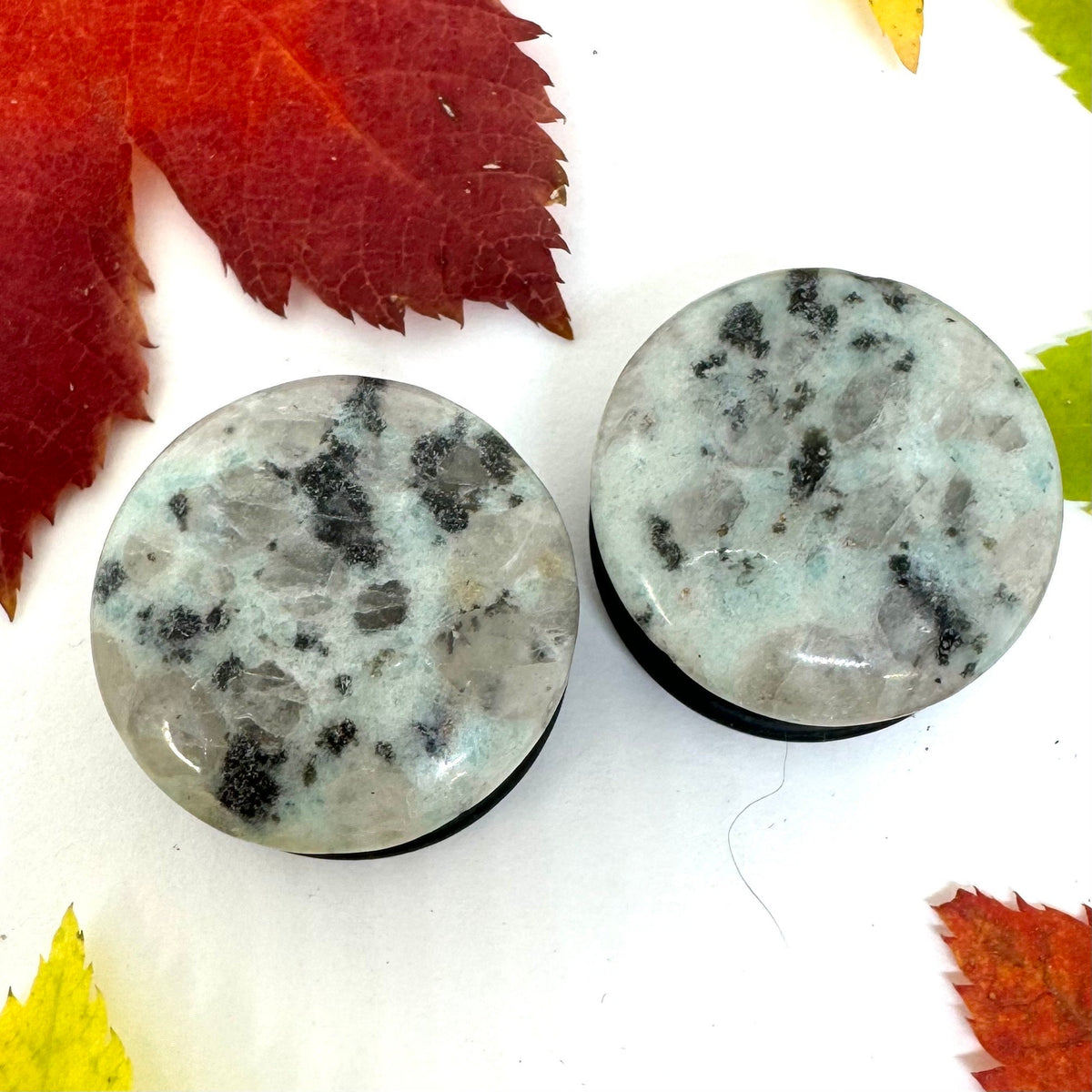 OOAK Dalmatian Jasper Single Flared Stone Plugs – 7/8" (22mm) Single Flared