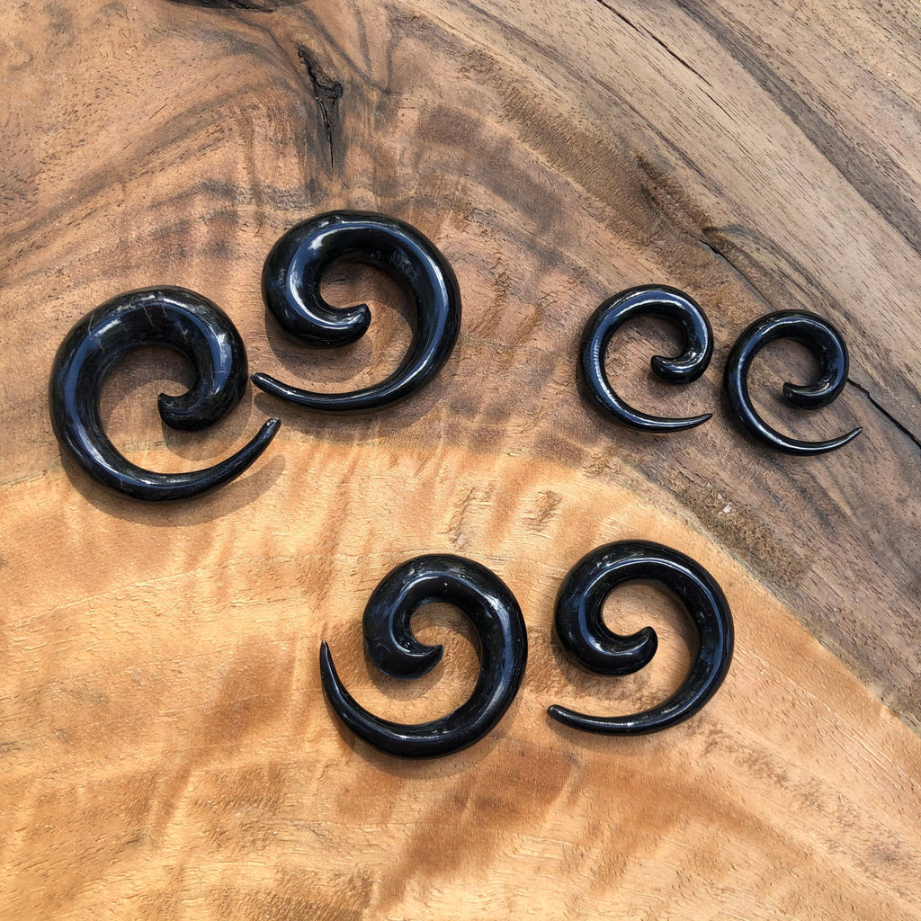 Classic Water Buffalo Horn Spiral Earrings