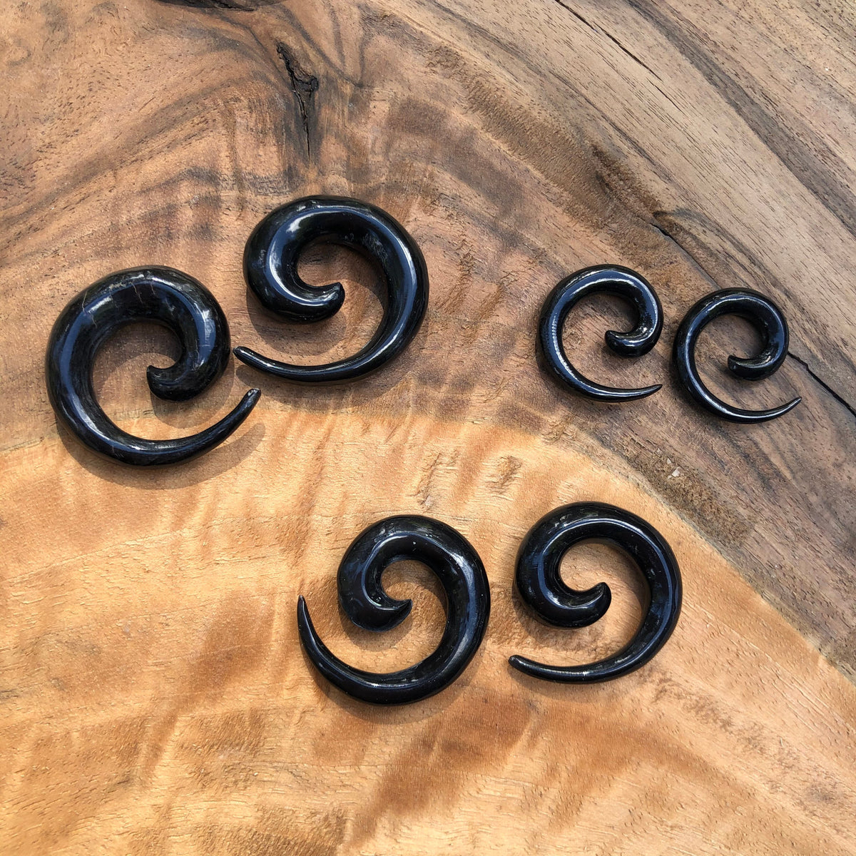 Classic Water Buffalo Horn Spiral Earrings
