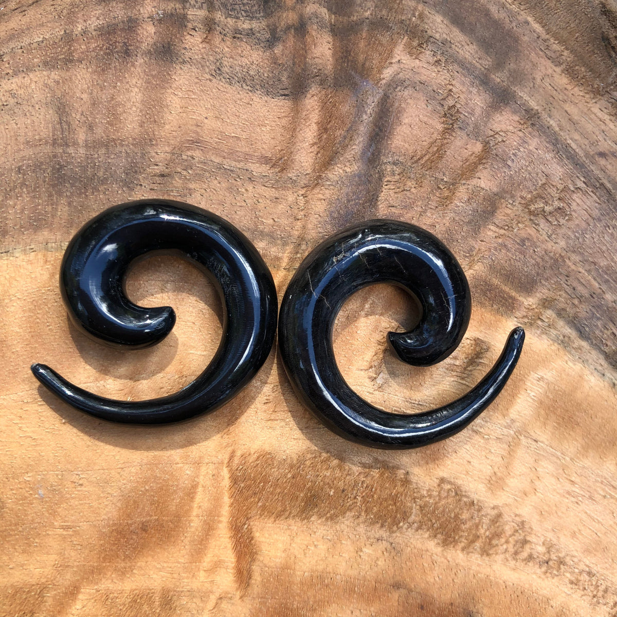 Classic Water Buffalo Horn Spiral Earrings