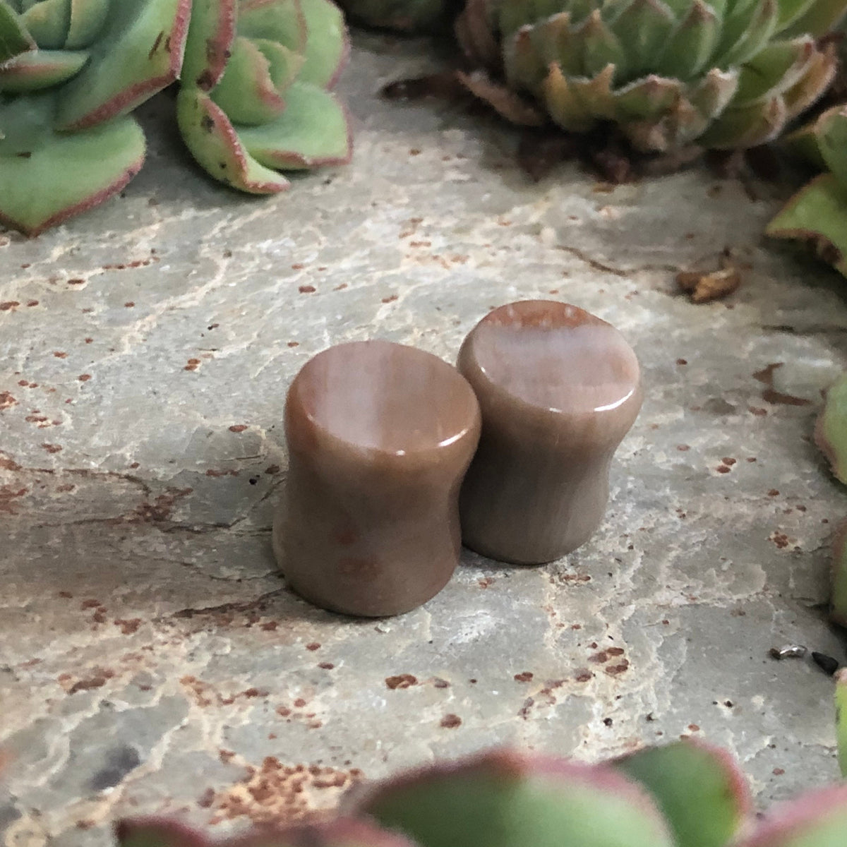 OOAK Petrified Stone Plugs – 00g (10mm)