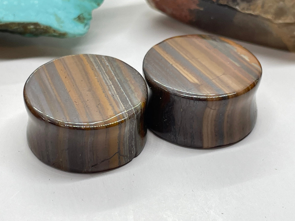 OOAK Tiger Iron Plugs – 7/8" (22mm)