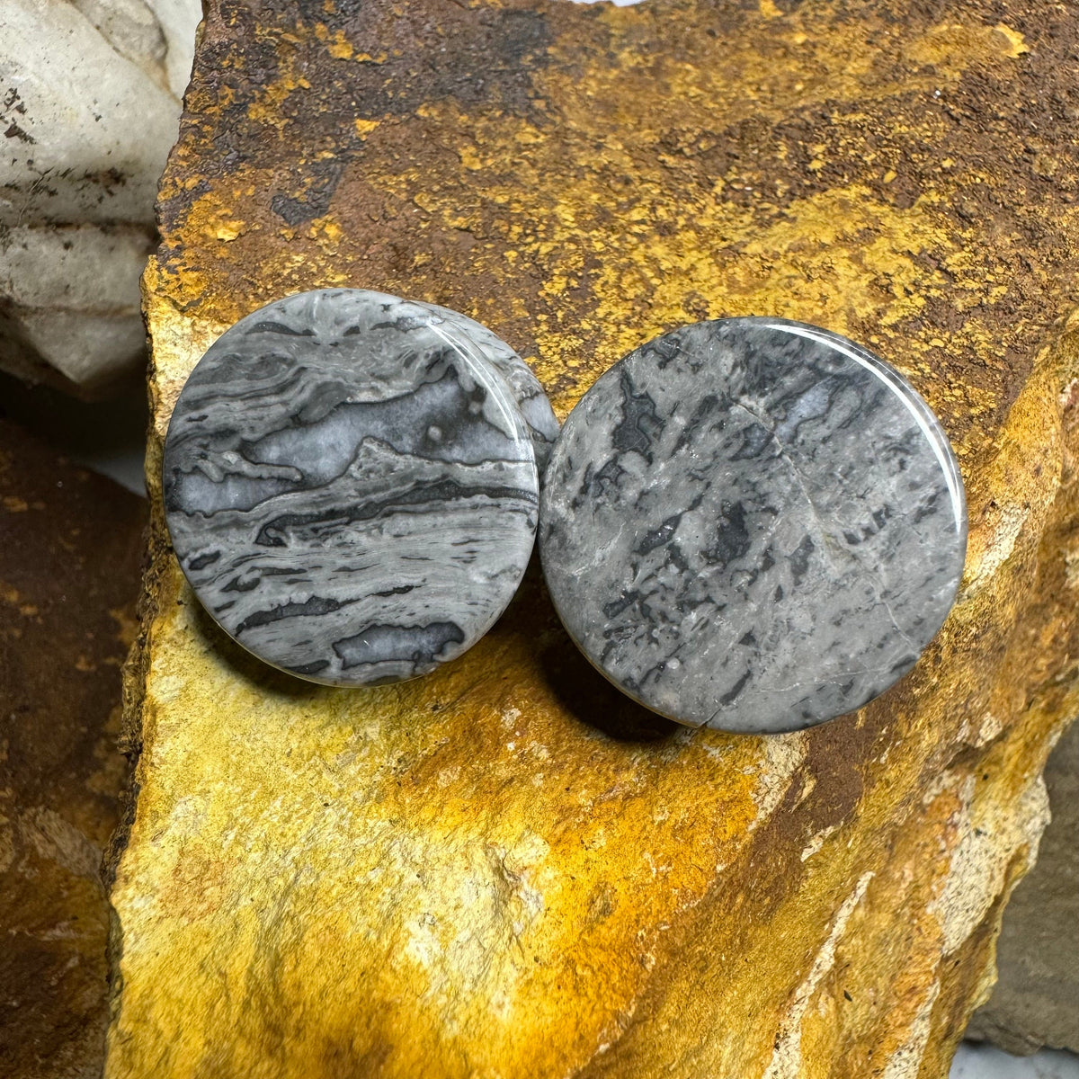 OOAK Wave Jasper Plugs – 1" (25mm) Double Flared