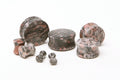 Fossil Stone Plugs – Double Flared Ear Gauges