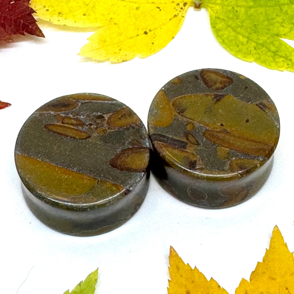 OOAK Bamboo Jasper Plugs – 1" (25mm) Double Flared