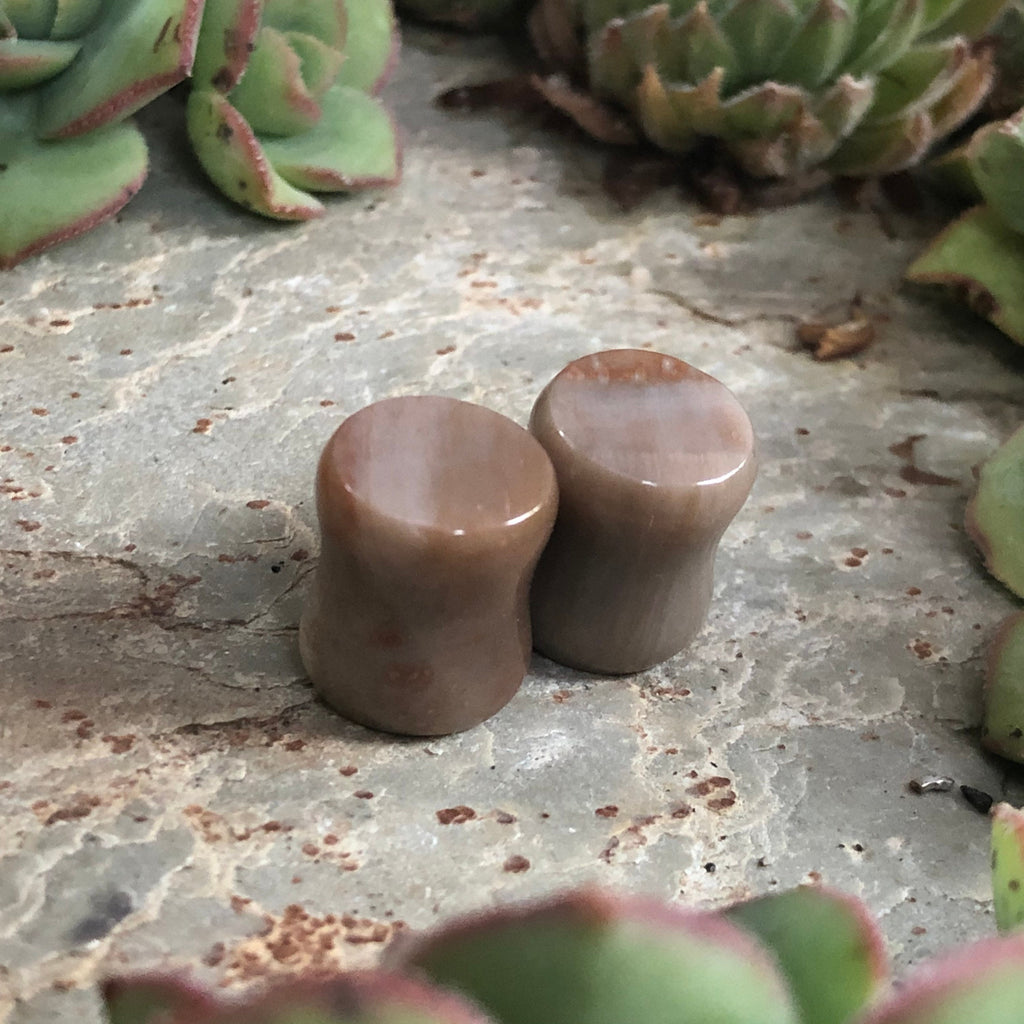 OOAK Petrified Stone Plugs – 00g (10mm)