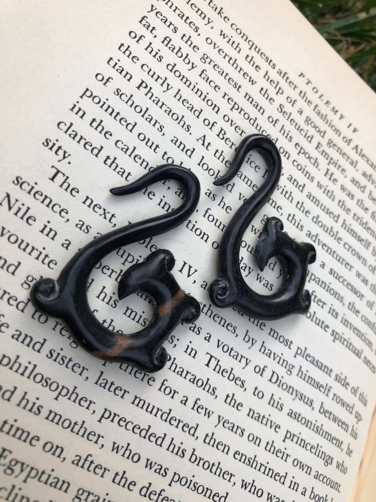 Ebony Wood Hoop Earrings – Limited Edition Ear Gauges