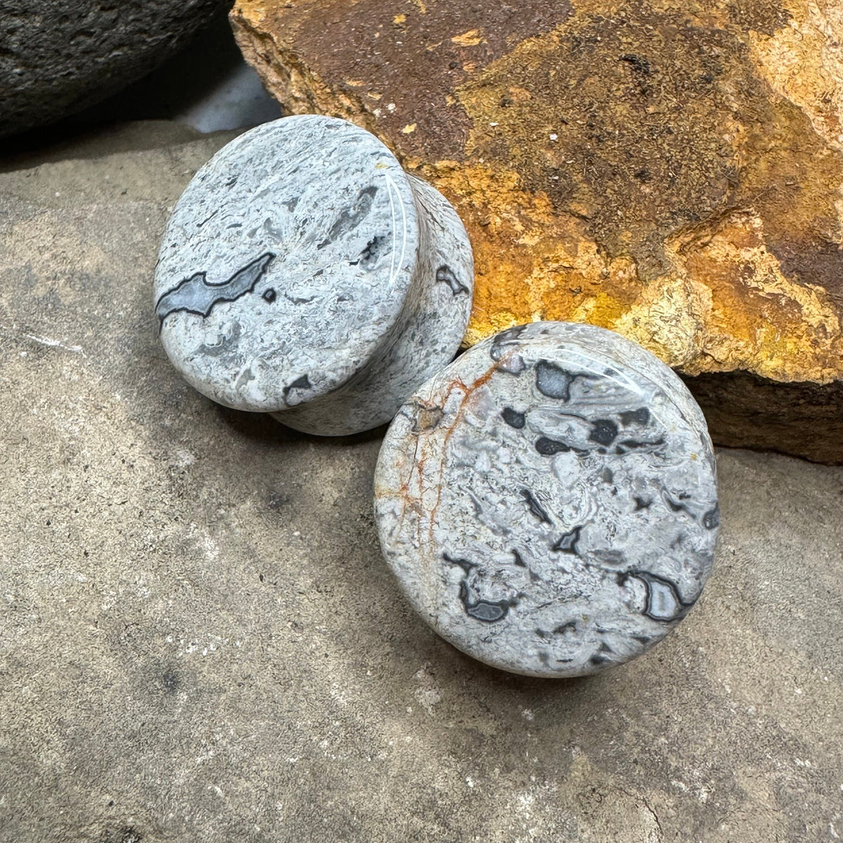 OOAK Wave Jasper Stone Plugs – 7/8" (22mm)