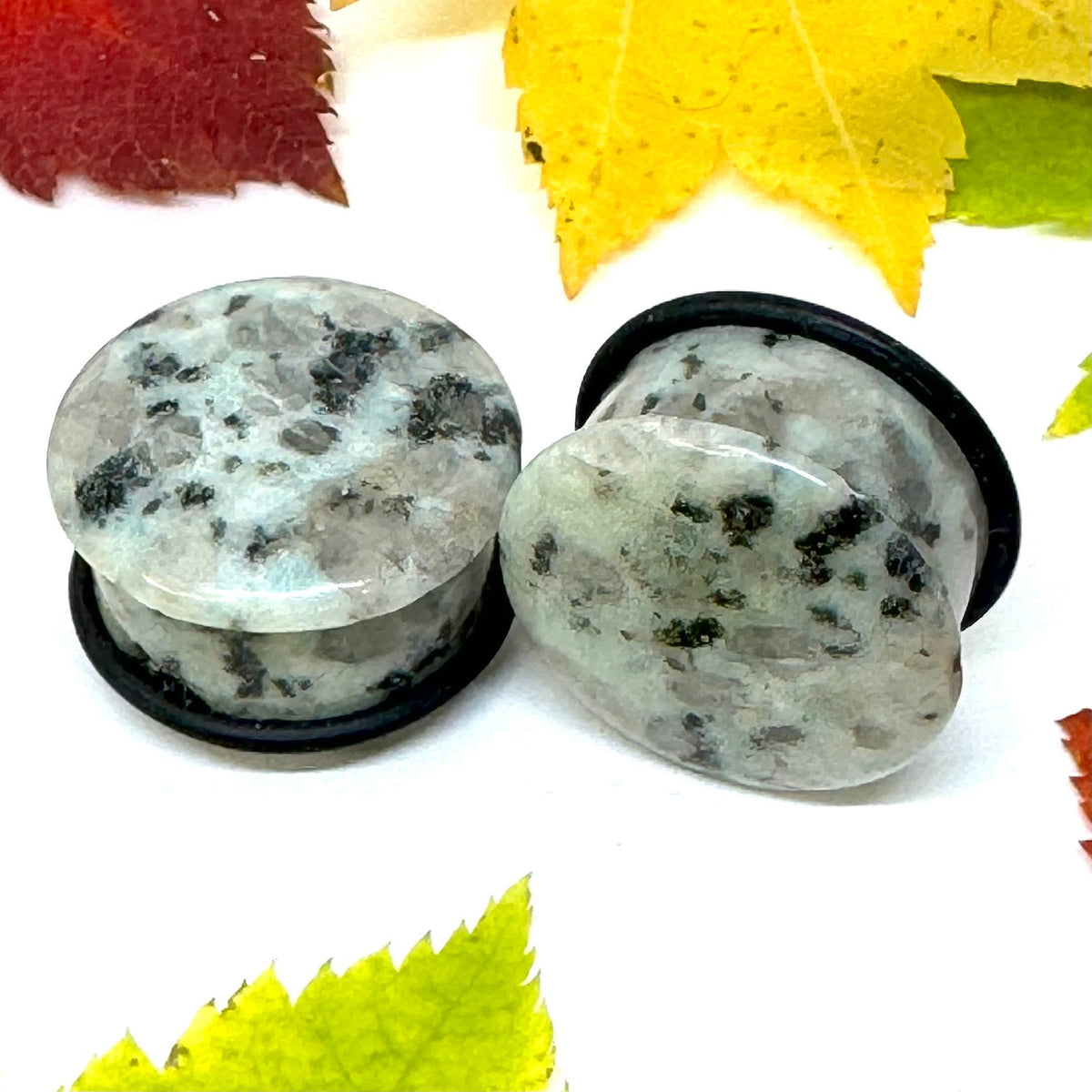 OOAK Dalmatian Jasper Single Flared Stone Plugs – 7/8" (22mm) Single Flared