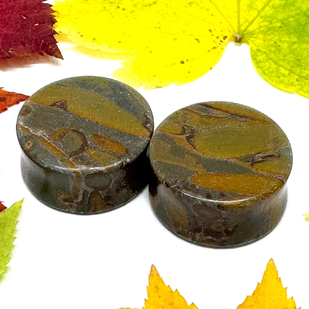 OOAK Bamboo Jasper Plugs – 1" (25mm) Double Flared