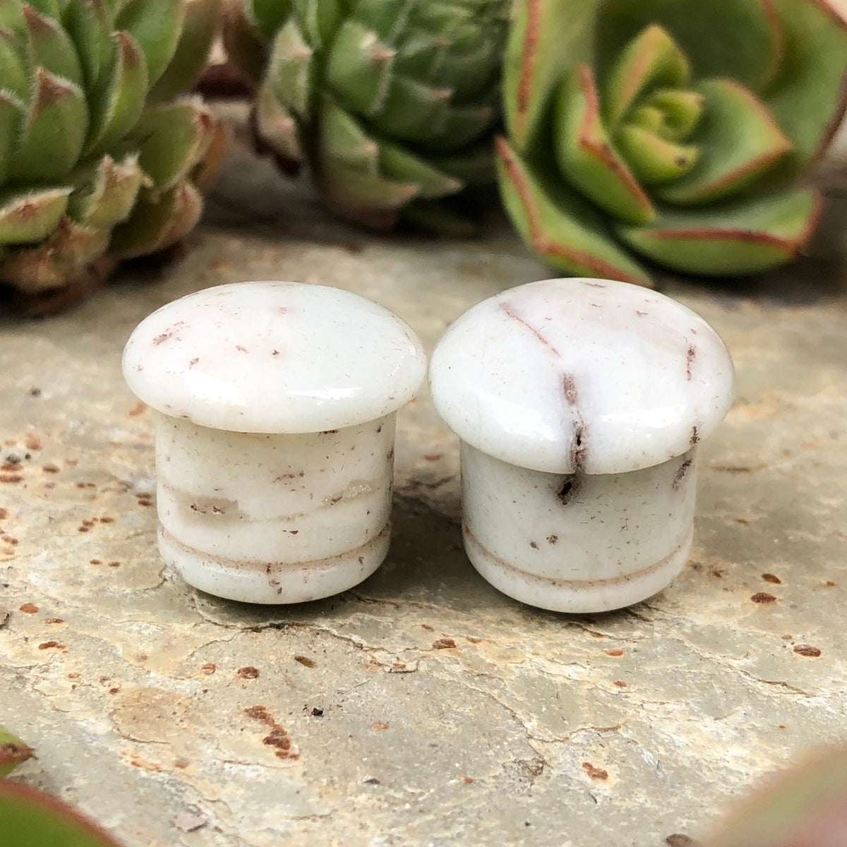 OOAK Pale Beige Stone Plugs – Gemstone Verification Needed