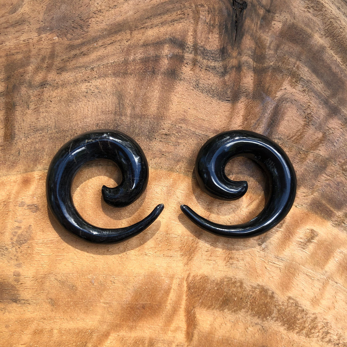 Classic Water Buffalo Horn Spiral Earrings