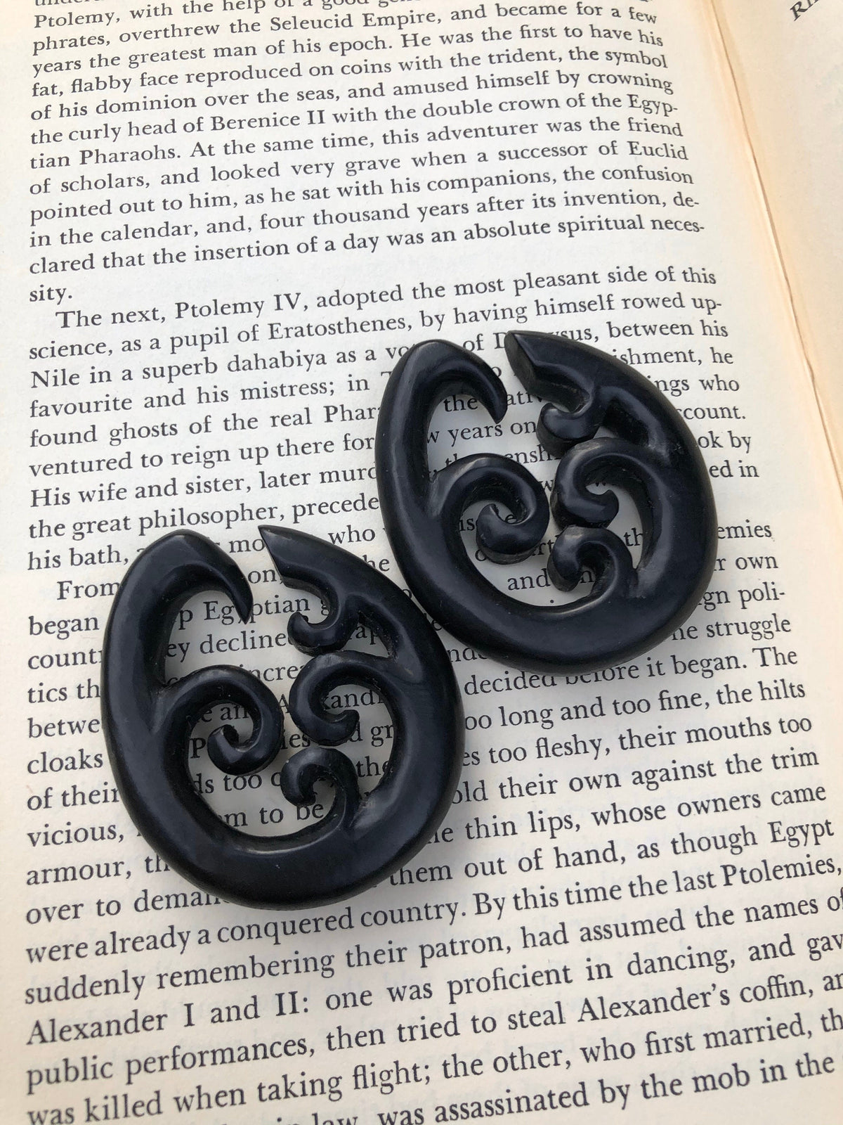 Ebony Wood Hoop Earrings – Limited Edition Ear Gauges