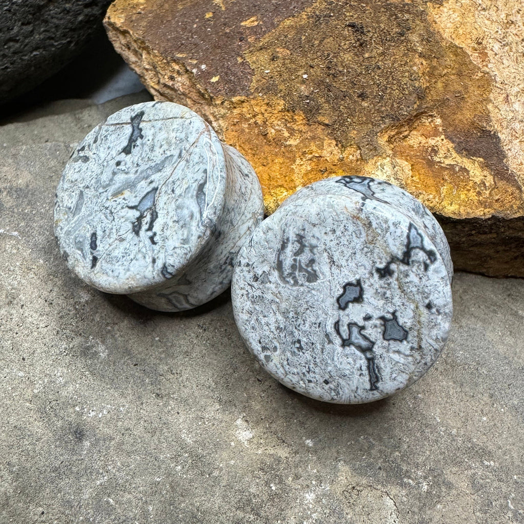 OOAK Wave Jasper Stone Plugs – 7/8" (22mm)