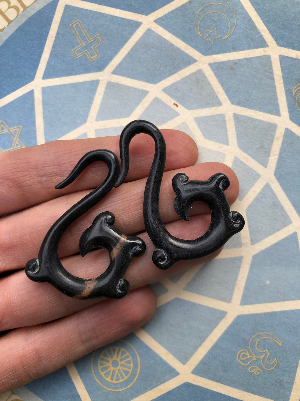 Ebony Wood Hoop Earrings – Limited Edition Ear Gauges
