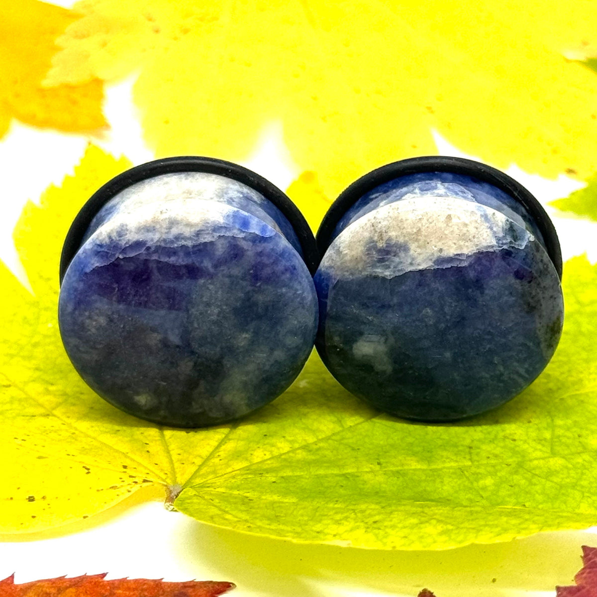 OOAK Sodalite Plugs – 1" (25mm) Single Flared