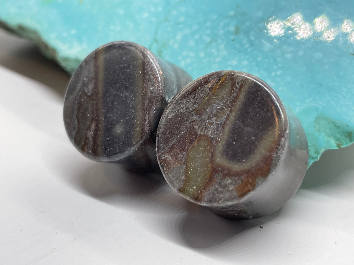 OOAK Black Bamboo Stone Plugs – 3/4" (19mm)