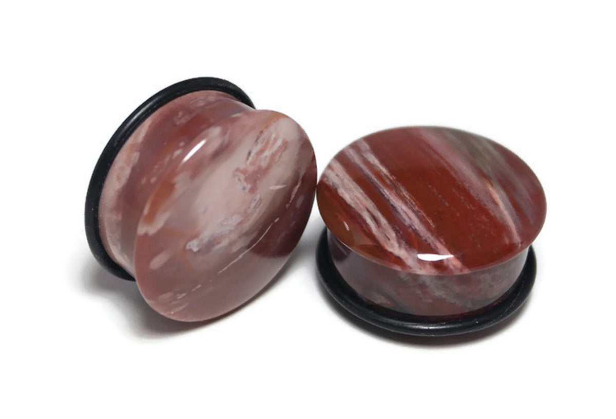 OOAK Petrified Wood Plugs – 1" (25mm) Single Flared