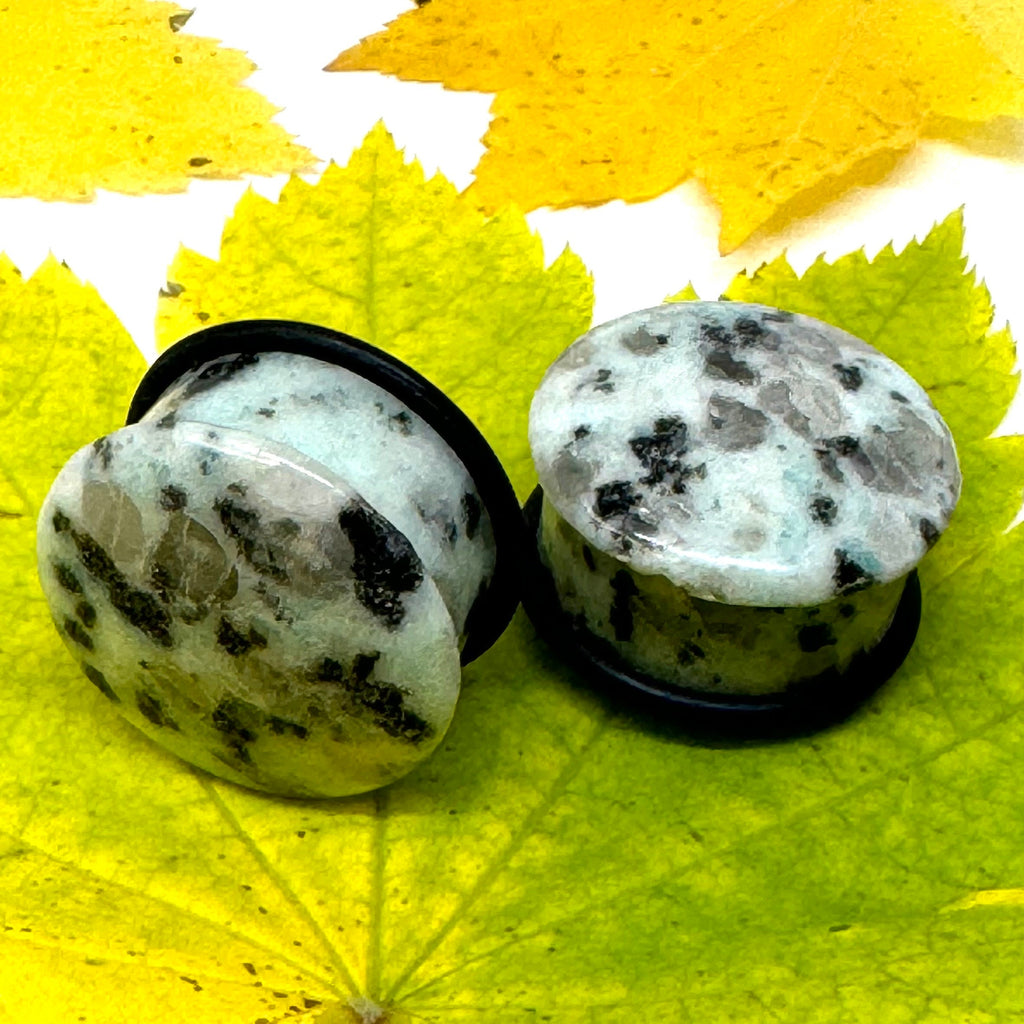 OOAK Dalmatian Jasper Single Flared Stone Plugs – 7/8" (22mm)
