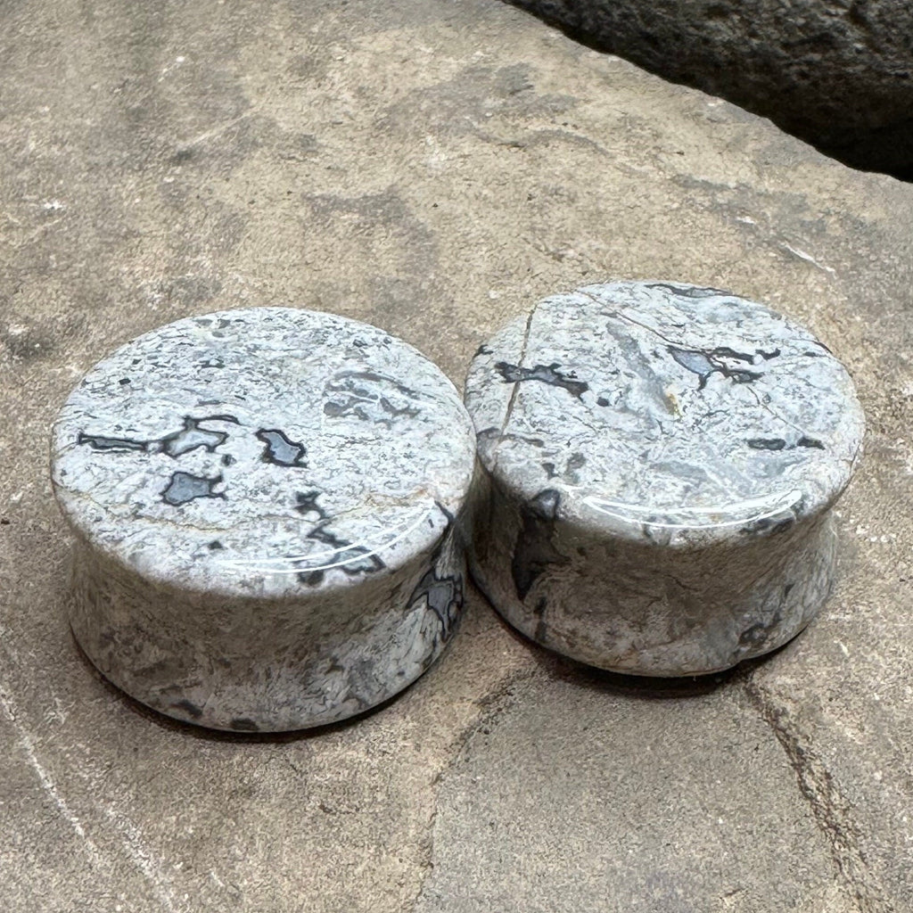 OOAK Wave Jasper Stone Plugs – 7/8" (22mm)