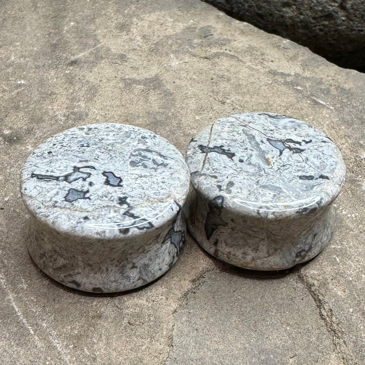 OOAK Wave Jasper Stone Plugs – 7/8" (22mm)