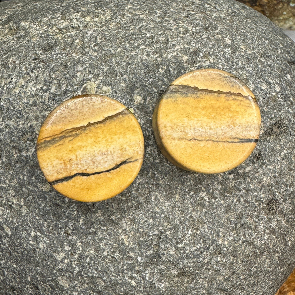 OOAK Picture Jasper Plugs – 7/8" (22mm)