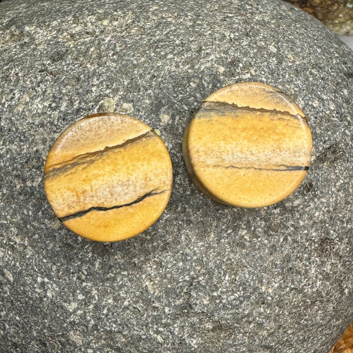 OOAK Picture Jasper Plugs – 7/8" (22mm)