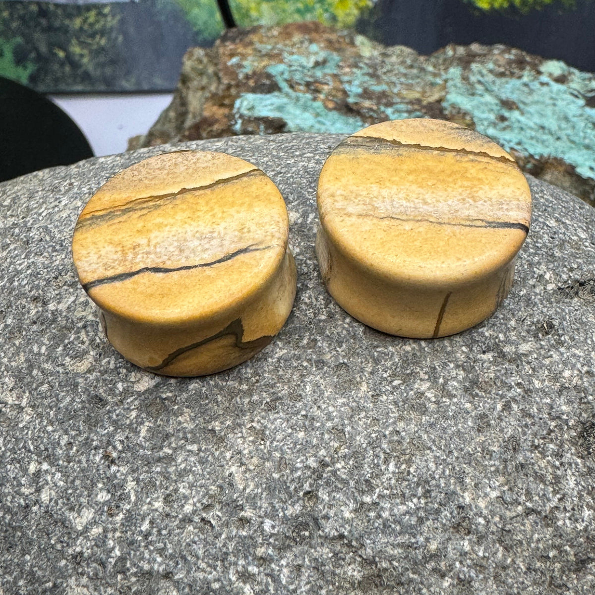 OOAK Picture Jasper Plugs – 7/8" (22mm)