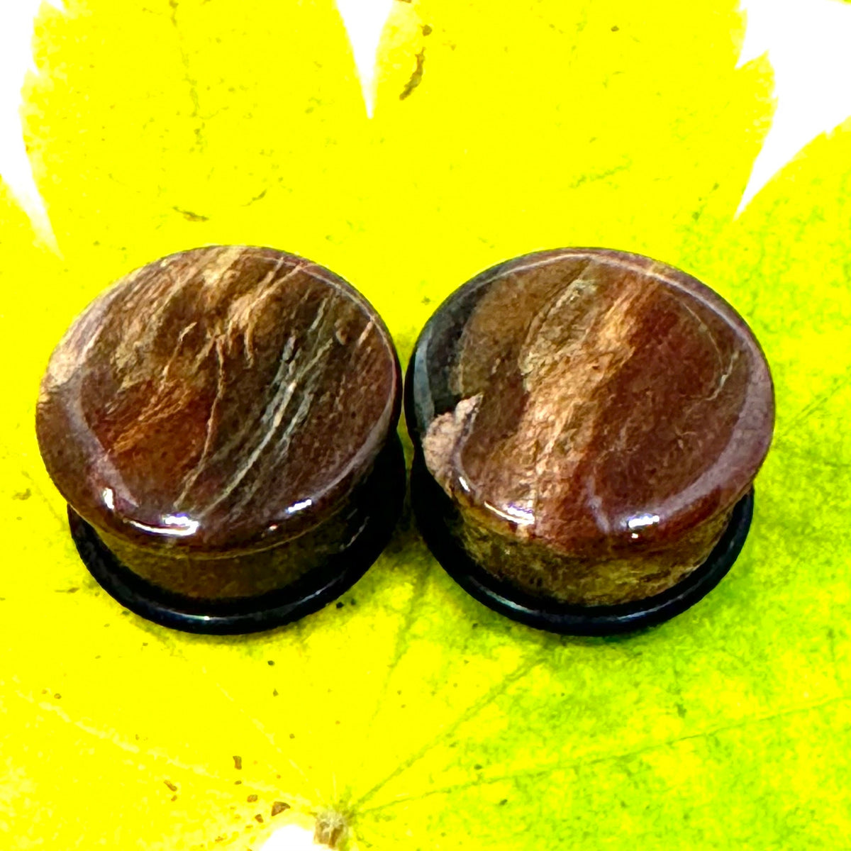 OOAK Petrified Wood Plugs – 3/4" (19mm) Single Flared