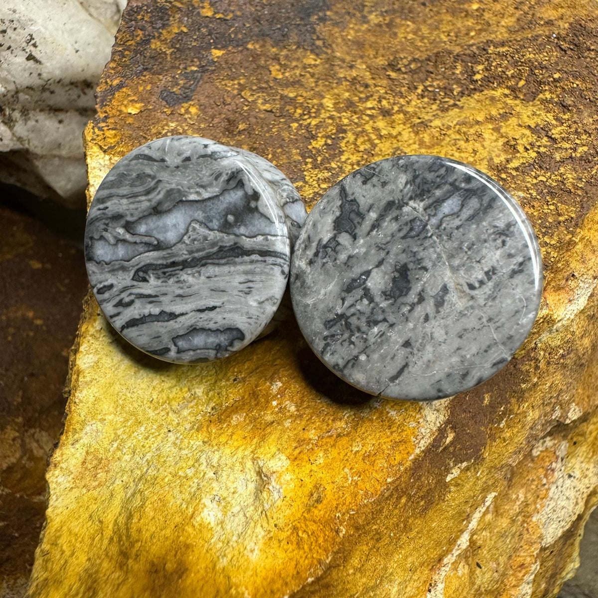 OOAK Wave Jasper Plugs – 1" (25mm) Double Flared