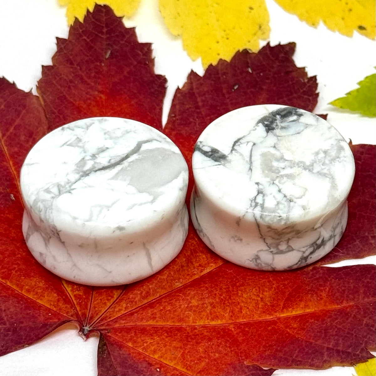 OOAK Howlite Stone Plugs – 1" (25mm)