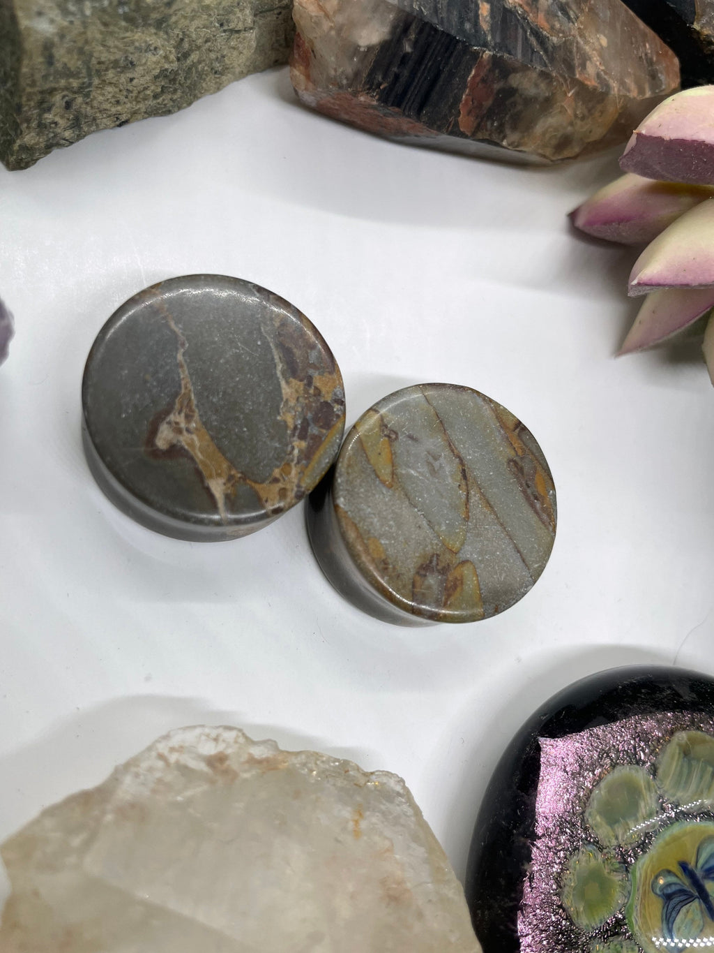 OOAK Grey Bamboo Jasper Plugs – 1" (25mm)
