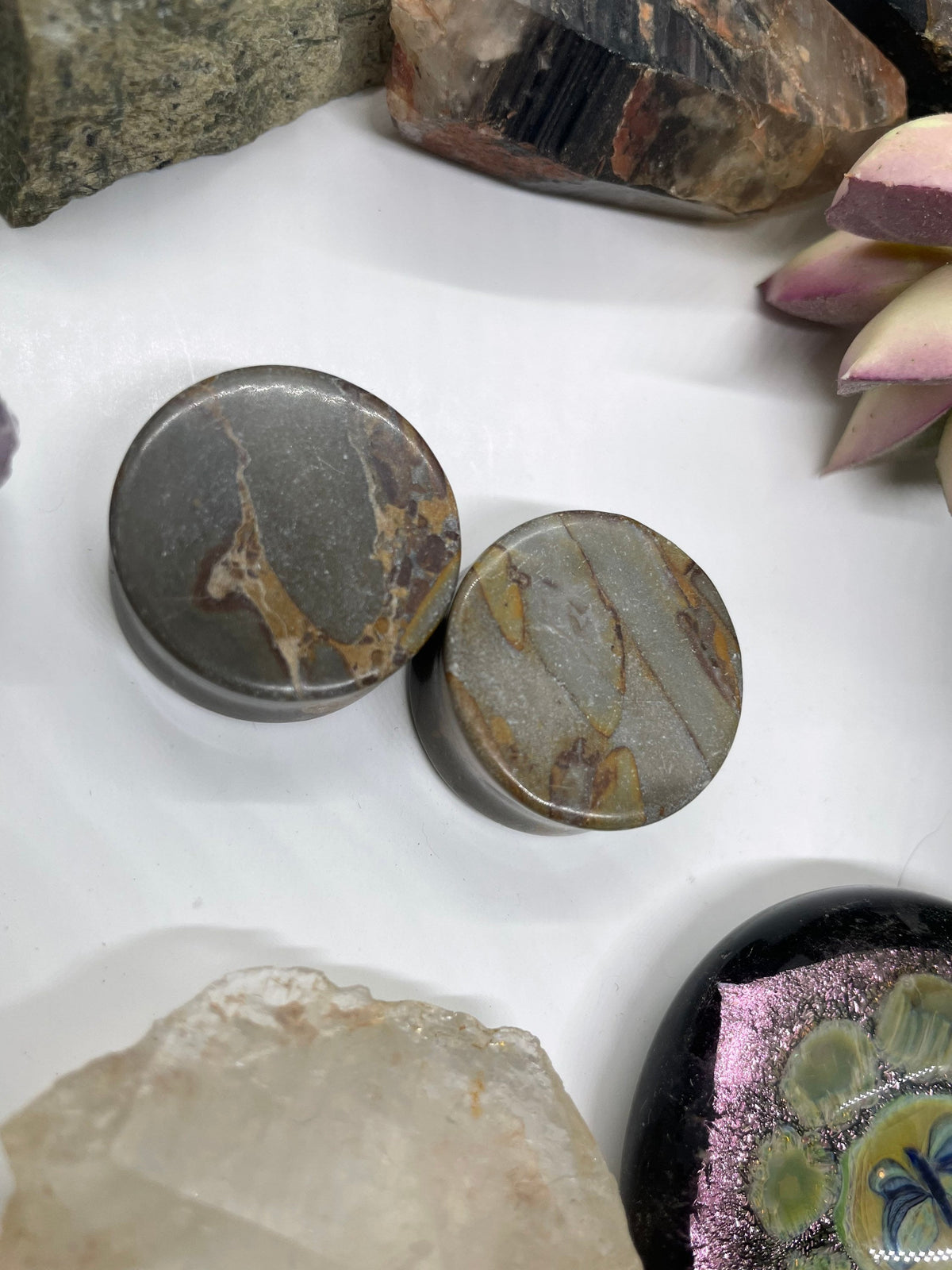 OOAK Grey Bamboo Jasper Plugs – 1" (25mm)