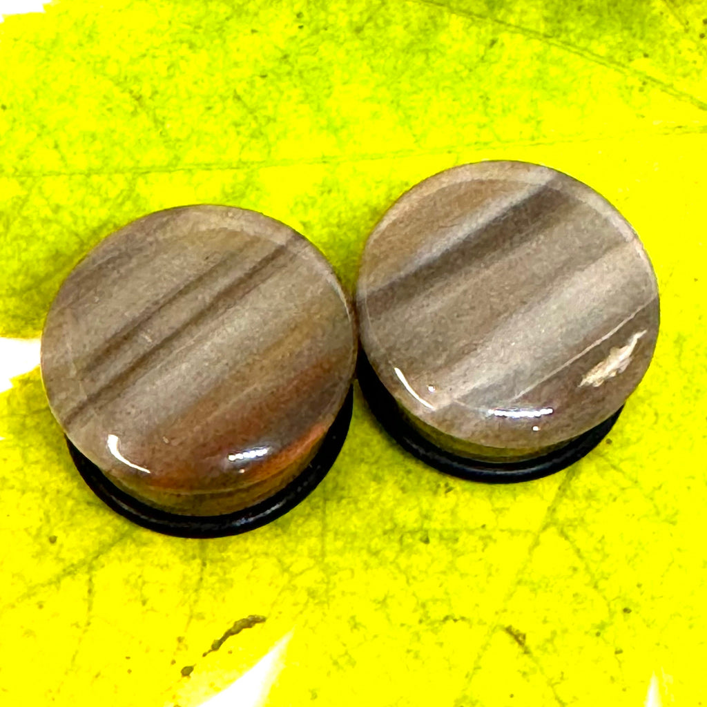 OOAK Petrified Wood Single Flared Stone Plugs – 3/4" (19mm)