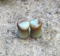 OOAK Multicolor Amazonite Plugs – 0g (8mm)