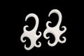 Hand-Carved Bone Hanging Earrings – Organic Ear Gauges