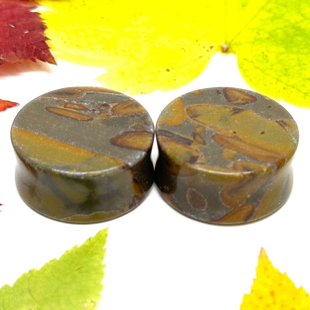 OOAK Bamboo Jasper Plugs – 1" (25mm) Double Flared