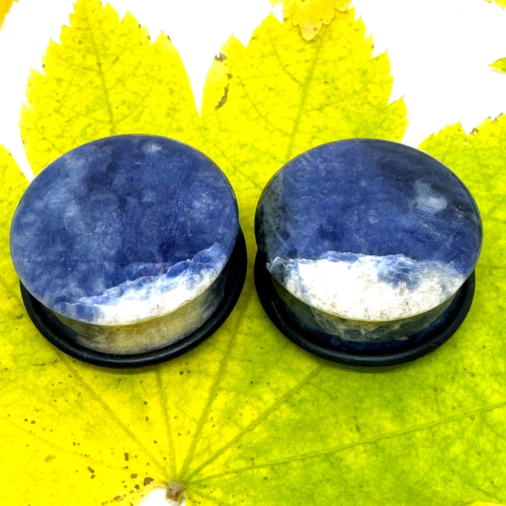 OOAK Sodalite Plugs – 1" (25mm) Single Flared
