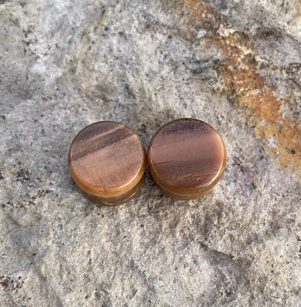 OOAK Petrified Wood Stone Plugs – 1/2" (13mm)