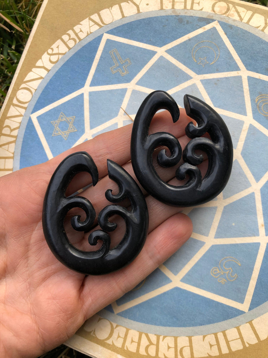 Ebony Wood Hoop Earrings – Limited Edition Ear Gauges