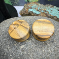 OOAK Picture Jasper Plugs – 7/8" (22mm)