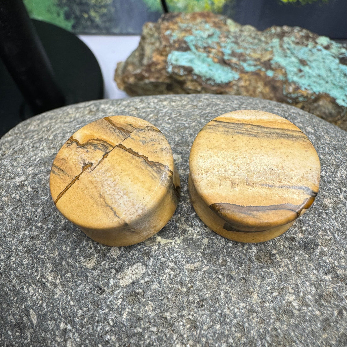 OOAK Picture Jasper Plugs – 7/8" (22mm)