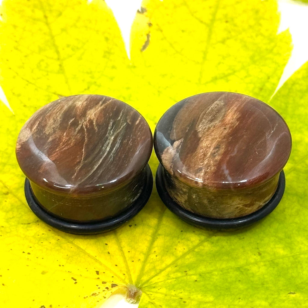 OOAK Petrified Wood Plugs – 3/4" (19mm) Single Flared