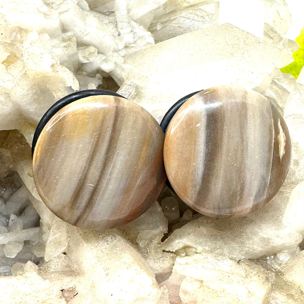 OOAK Petrified Wood Single Flared Stone Plugs – 3/4" (19mm)