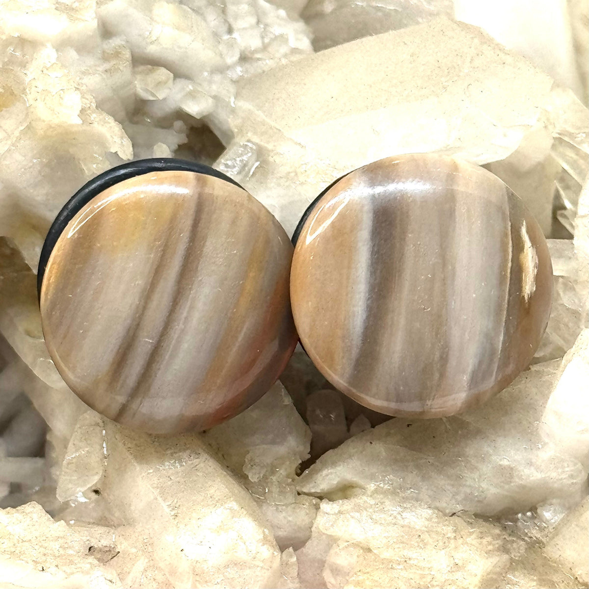 OOAK Petrified Wood Single Flared Stone Plugs – 3/4" (19mm)
